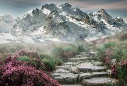 最囧游戏攻略31戴帽子，最囧游戏通关攻略戴帽子？