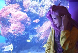 火炬之光无限制作装备，火炬之光装备一览表